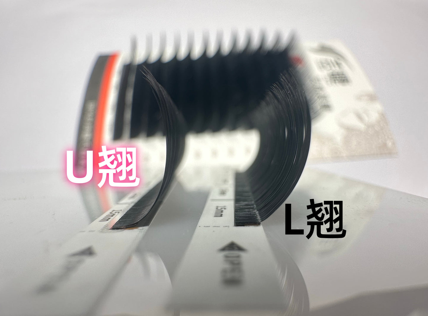 UB