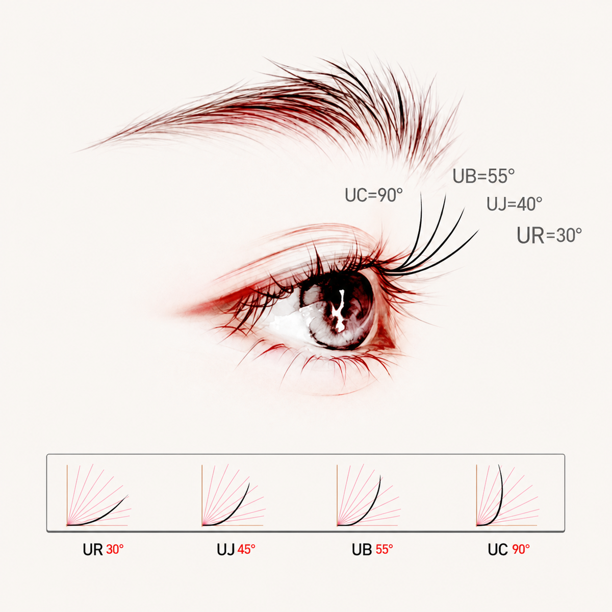U-Curl Eyelash Extensions – Seamless No Crease Root, Natural Lift Lash 0.06/0.07mm